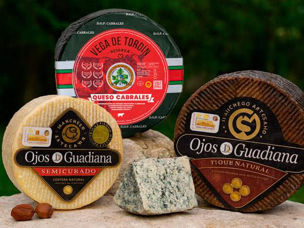 Tabla de quesos nacionales: queso cabrales Vega de Tordín y manchego de Ojos del Guadiana