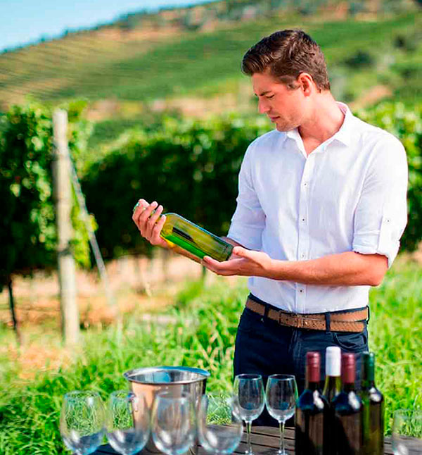 Sommelier profesional inspeccionando al detalle una botella de vino blanco en el viñedo, junto a una mesa de cata, seleccionando las mejores referencias para hostelería.