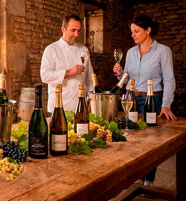 Chef y sommelier realizando una cata técnica de Champagne Yannick Prévoteau, valorando el perlaje y el maridaje en una bodega tradicional con botellas y uvas frescas.